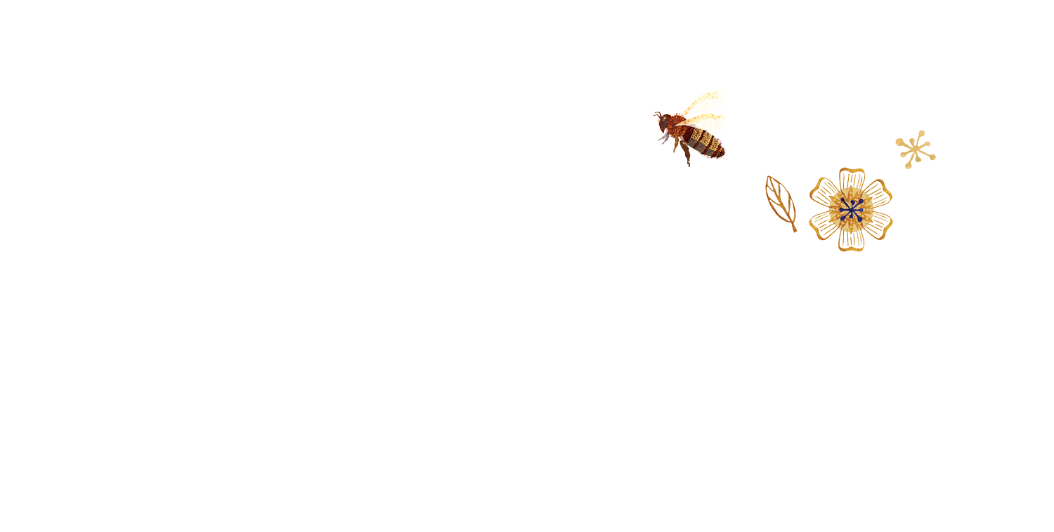 patternbymel