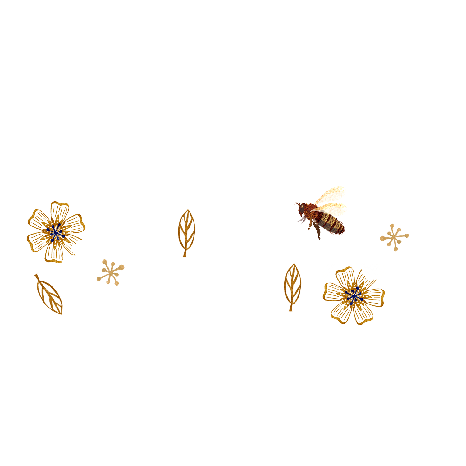 patternbymel