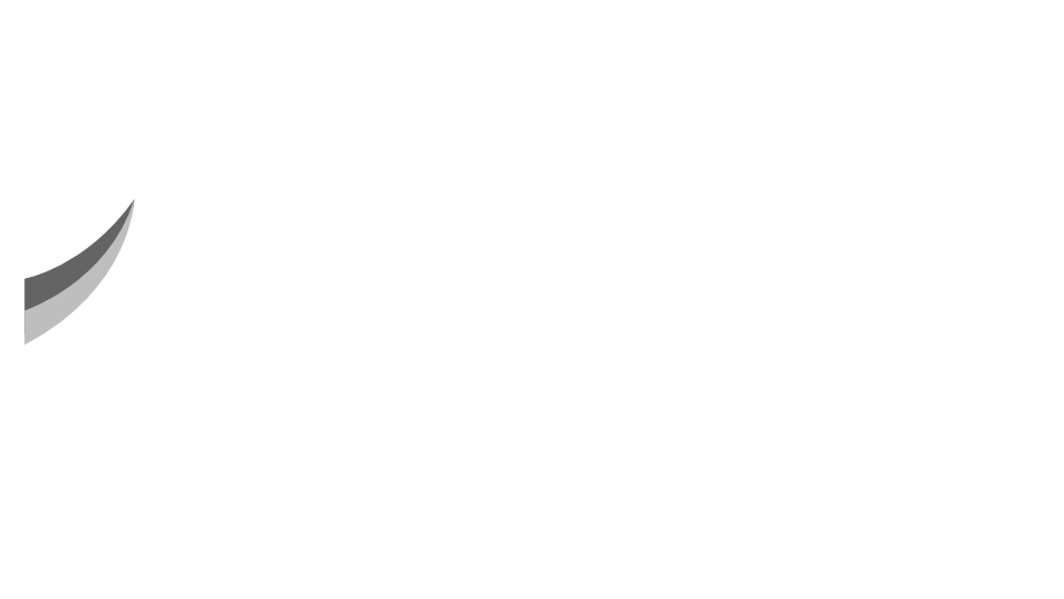 RhinoFin Consulting