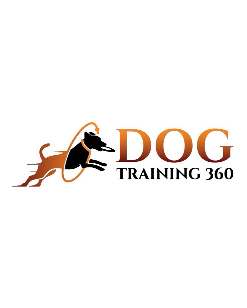Dog Training 360