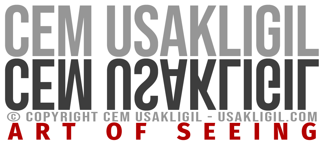 Cem Usakligil