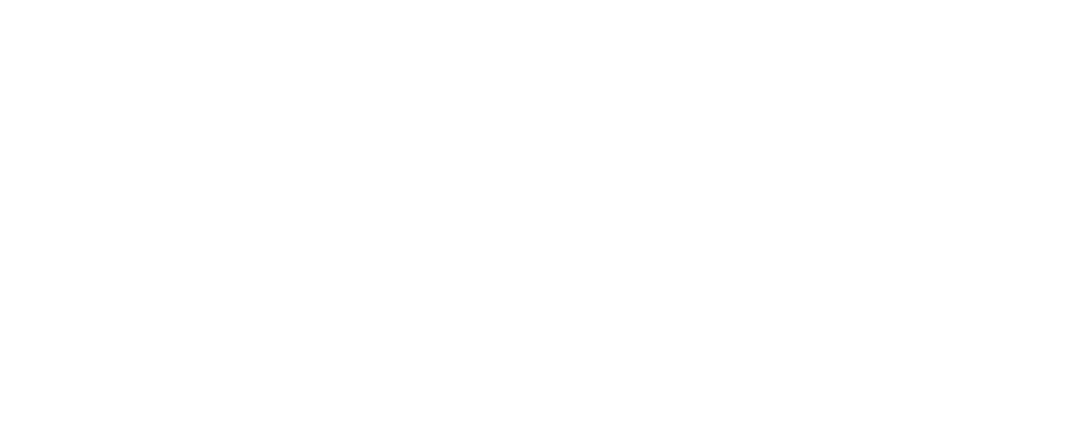 Michelle Kang for Georgia House District 99
