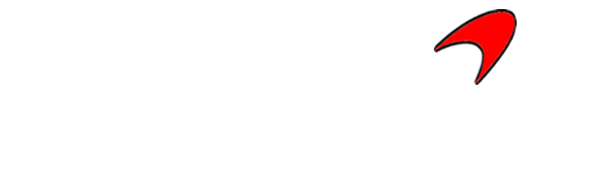 www.carolinaautoglassrepair.com