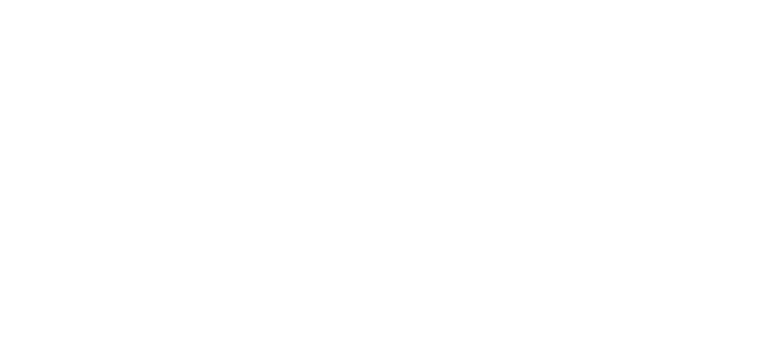 Friendship Adventure