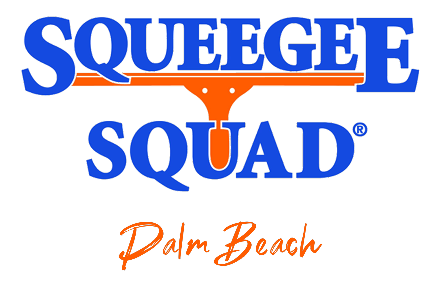 Squeegee Squad Palm Beach