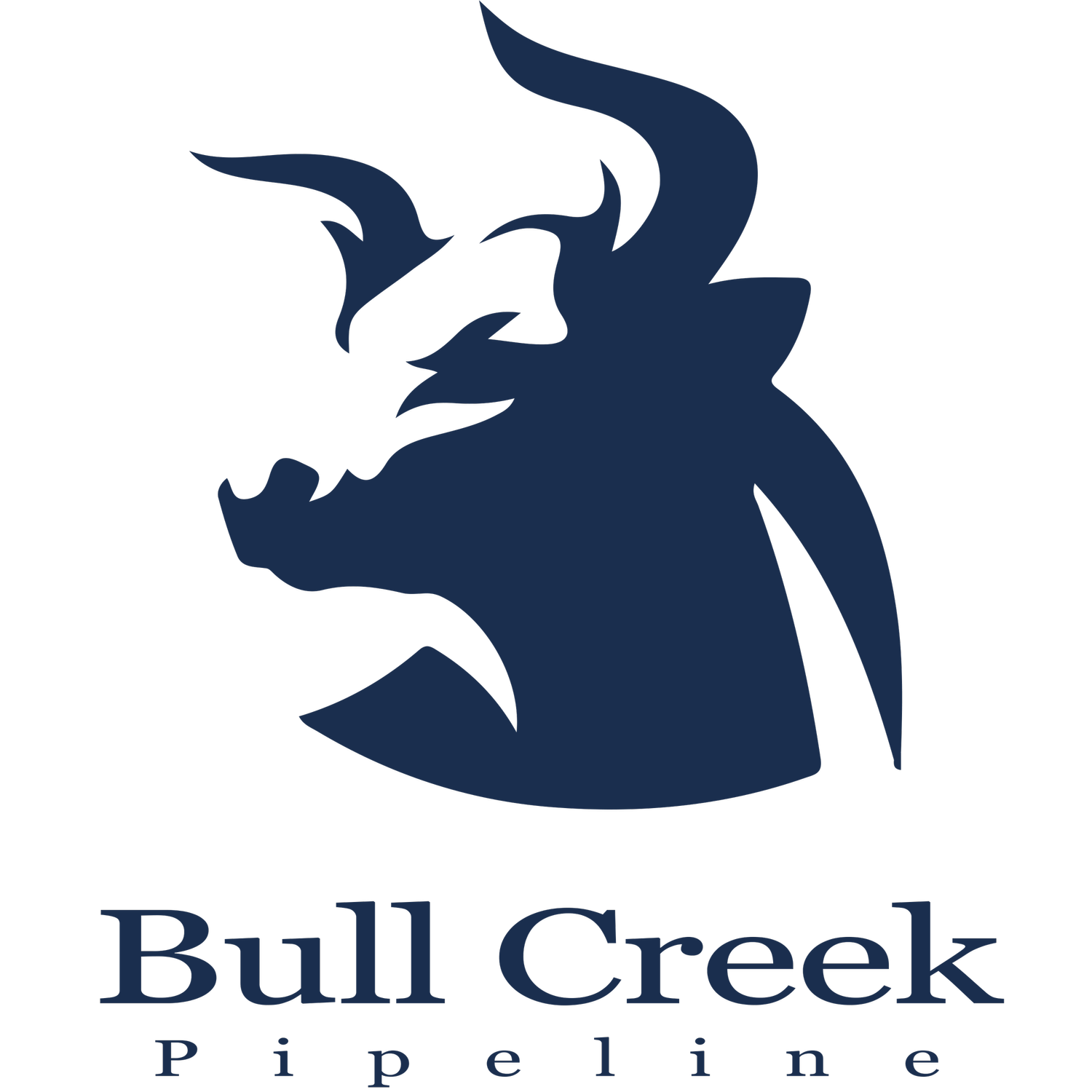 Bull Creek Pipeline