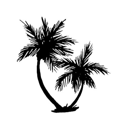 Palm Tree Psychology