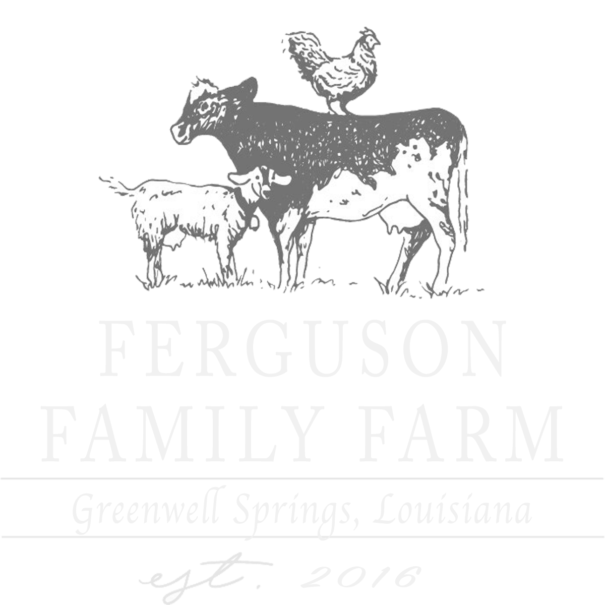 Ferguson Family Farm