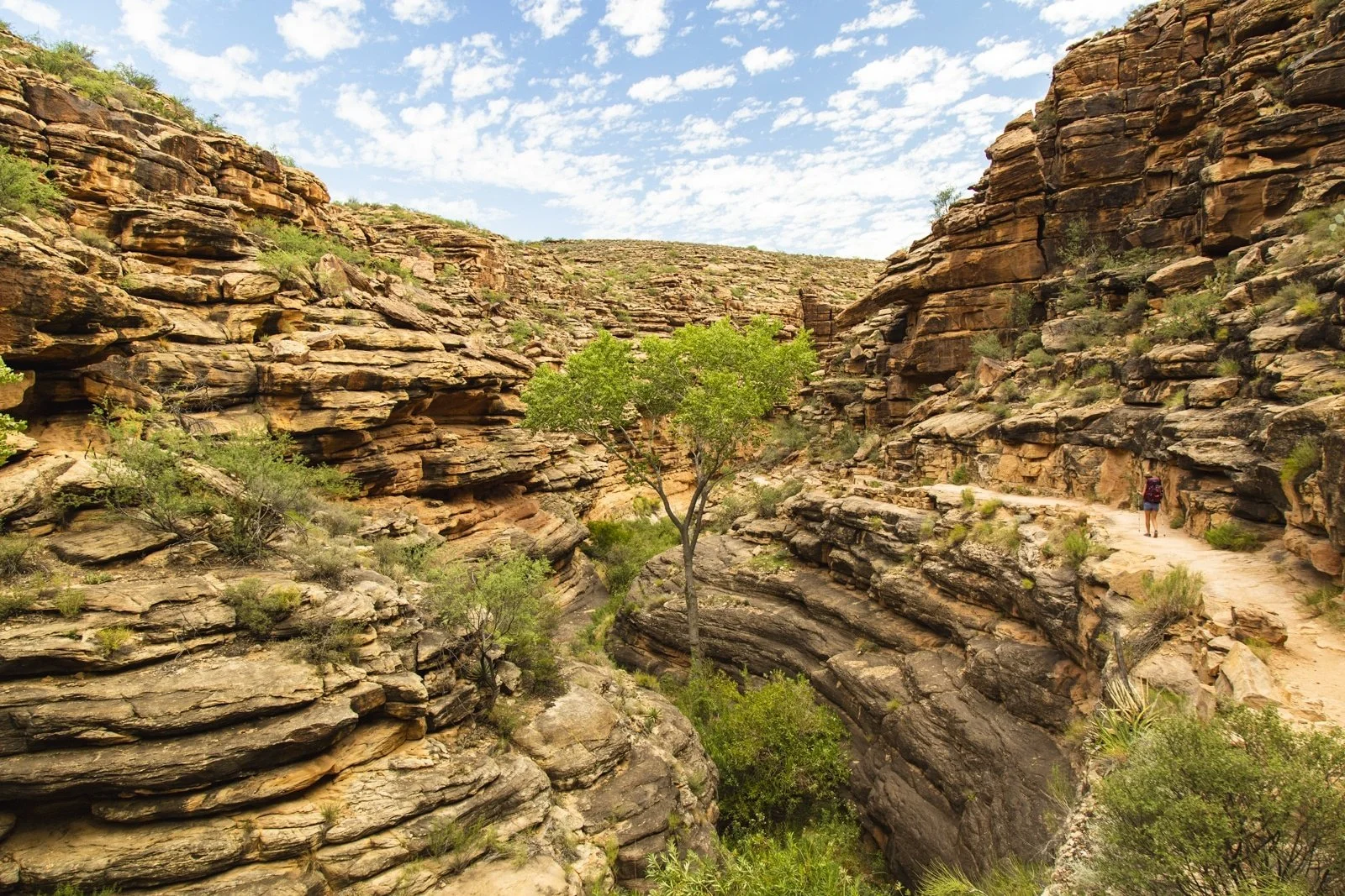 Lower area of Bright Angel Trail just above Devil's Corkscrew in the Grand Canyon. 