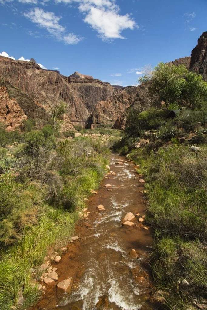Bright Angel Creek near Phantom Ranch in the Grand Canyon