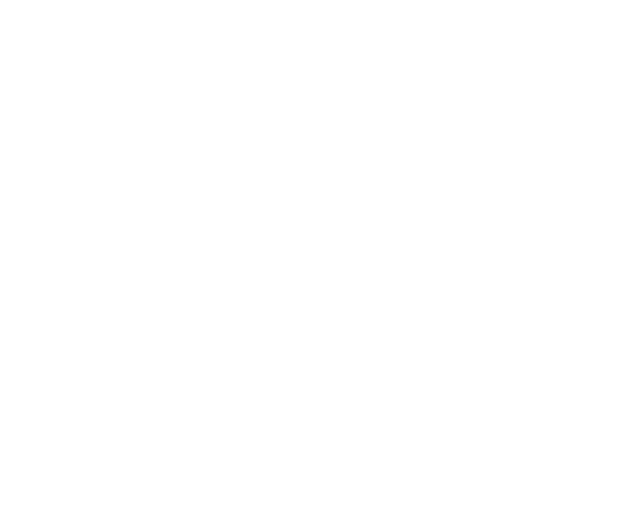 Vibrant Vida