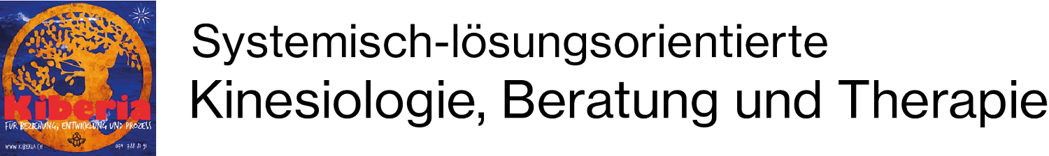 Systemisch-lösungsorientierte Kinesiologie, Beratung und Entwicklung