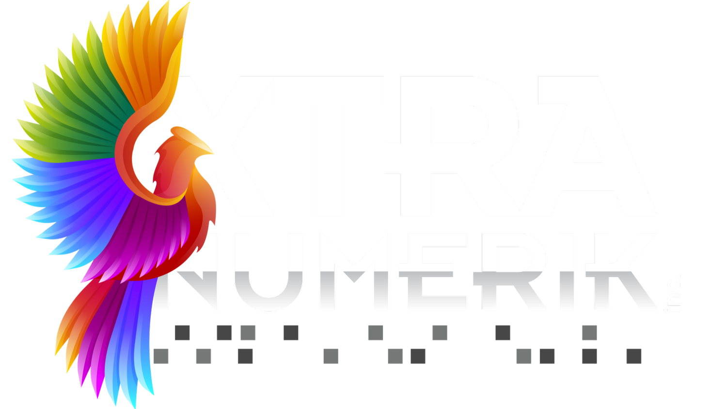 Xtranumerik