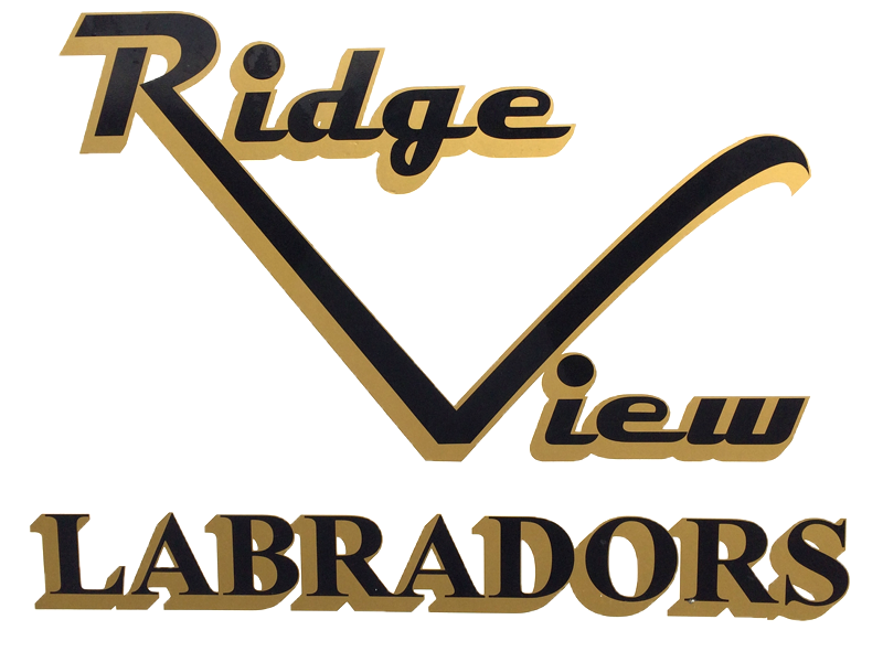 RidgeView Labradors 