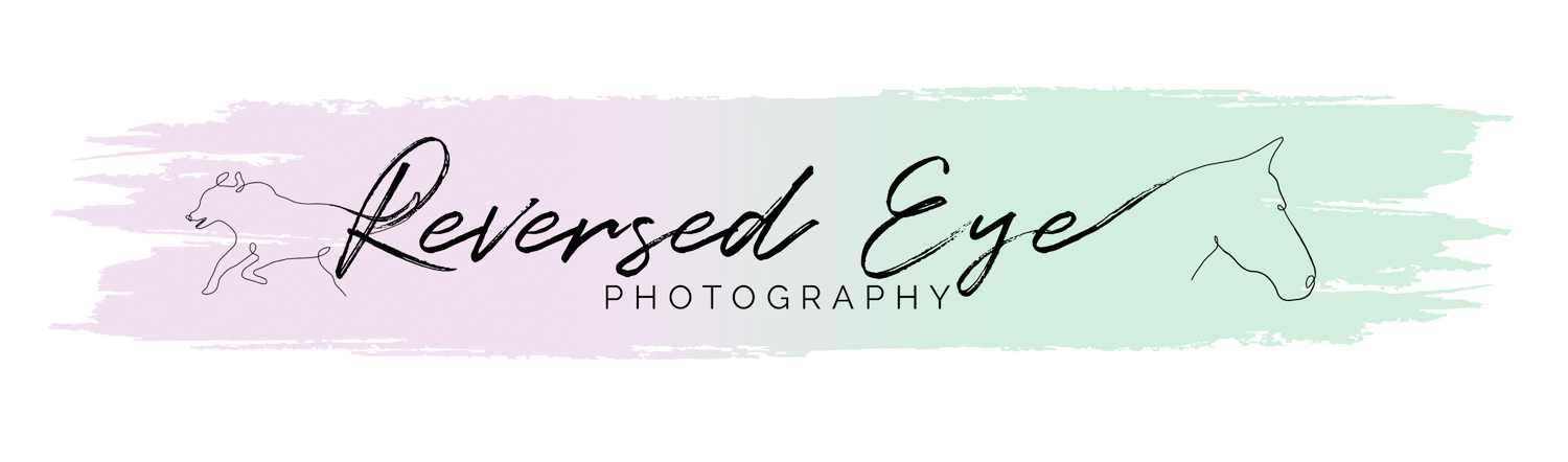 Reversed Eye Photography-Calgary Equine Photographer