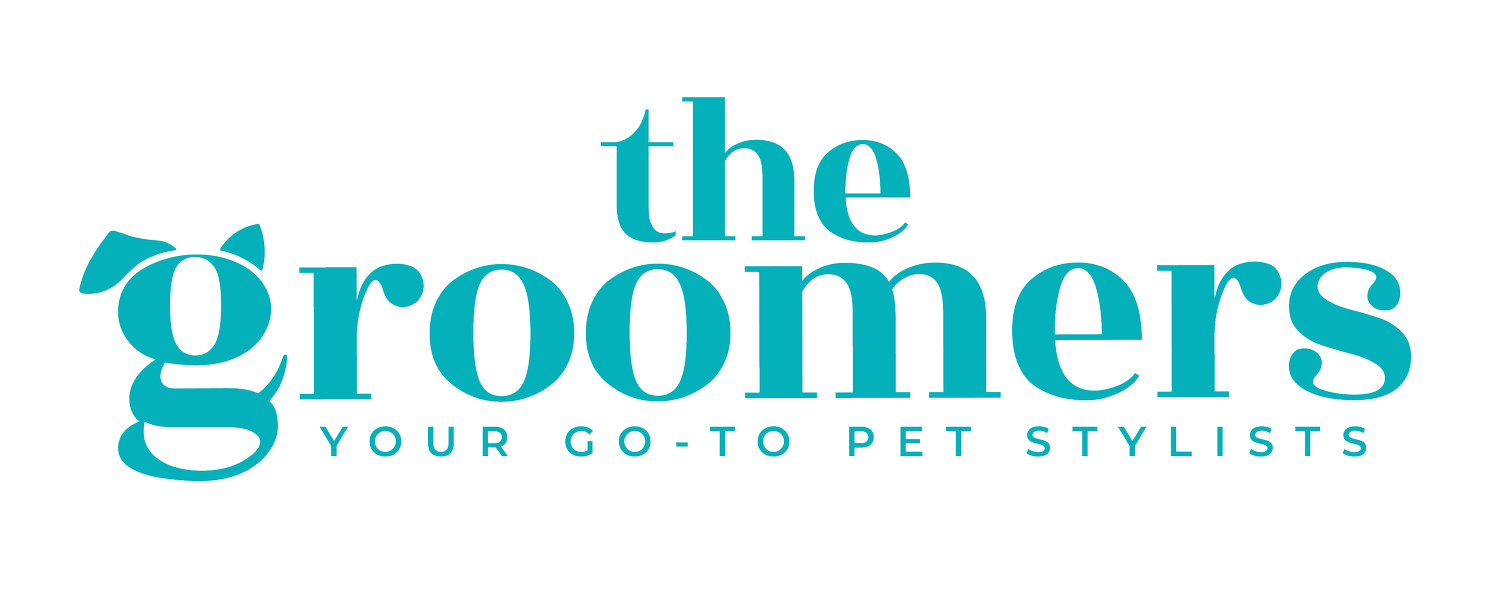 THE GROOMERS | Professional Dog &amp; Cat Grooming