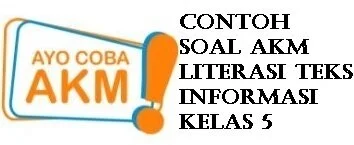 Contoh Soal AKM Literasi Teks Informasi Kelas 5