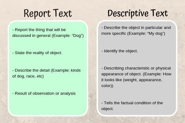 Definisi Report Text, Struktur dan Contoh Soal Definisi Report Text, Struktur dan Contoh Soal