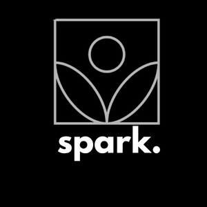 Spark Home Organizers