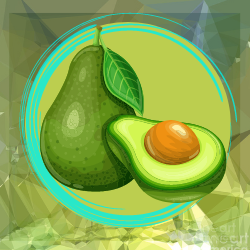 a is for avocados LLC