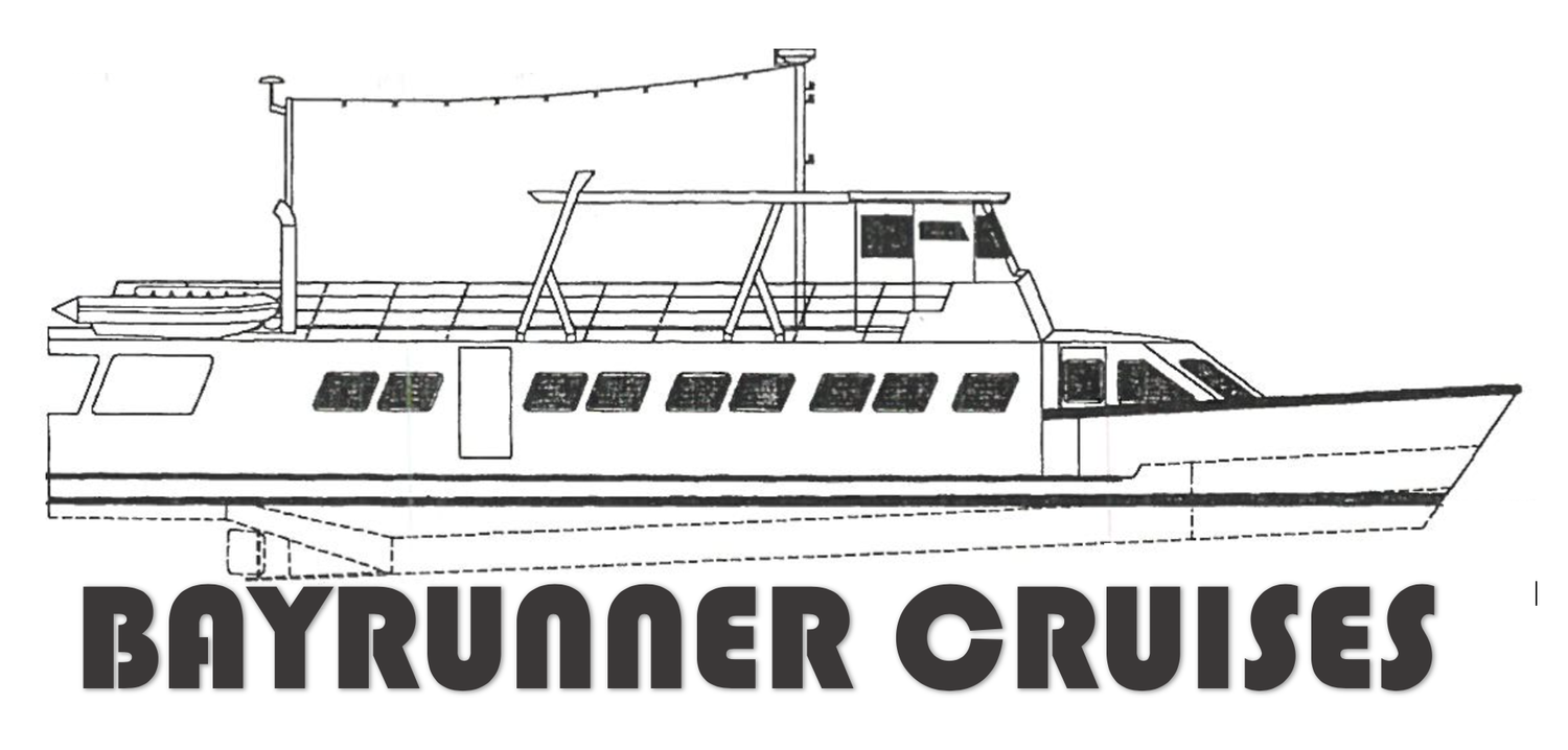 Bayrunner Cruises
