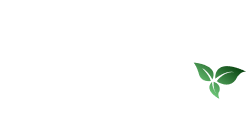 Quin Richards | Experience Designer + Project Coordinator