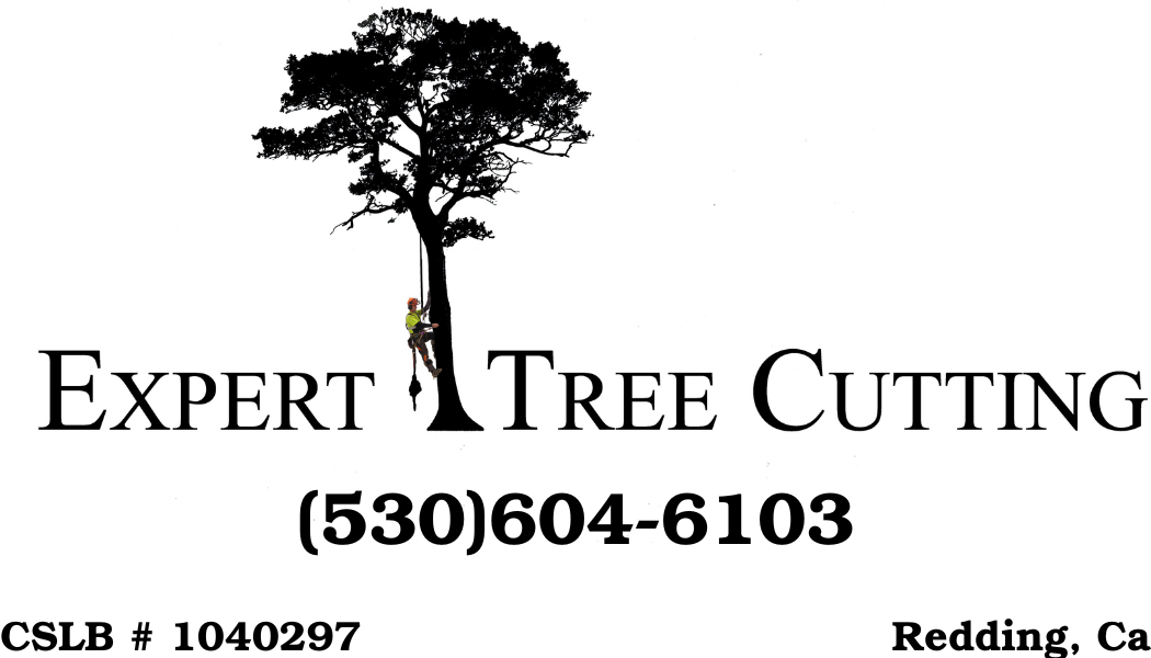 Expert Tree Cutting