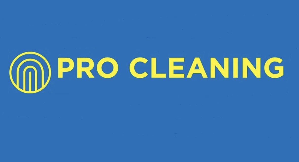 pro cleaning services