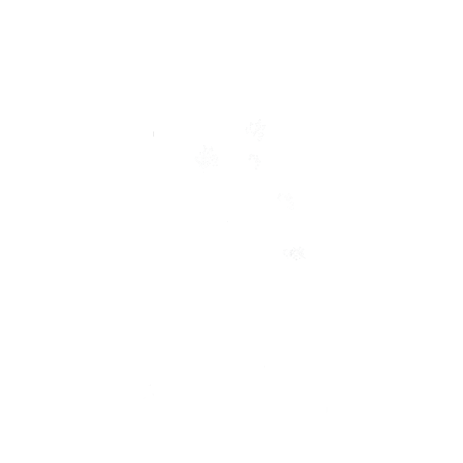 The Y Collective Agency