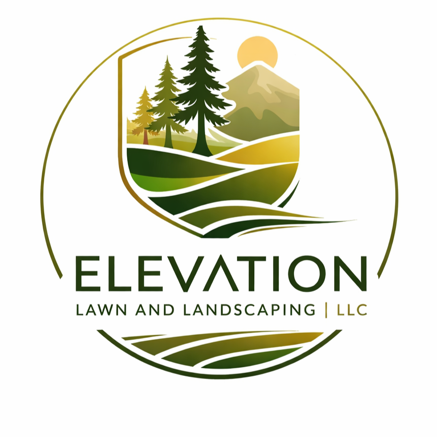 Elevate Your Surroundings