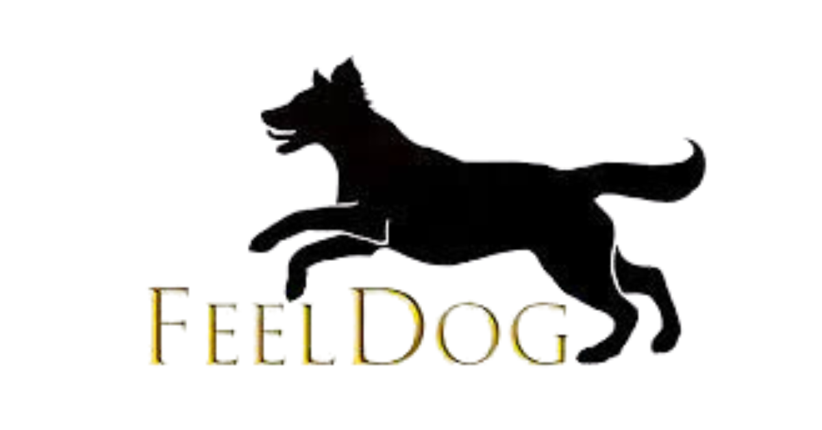 FeelDog