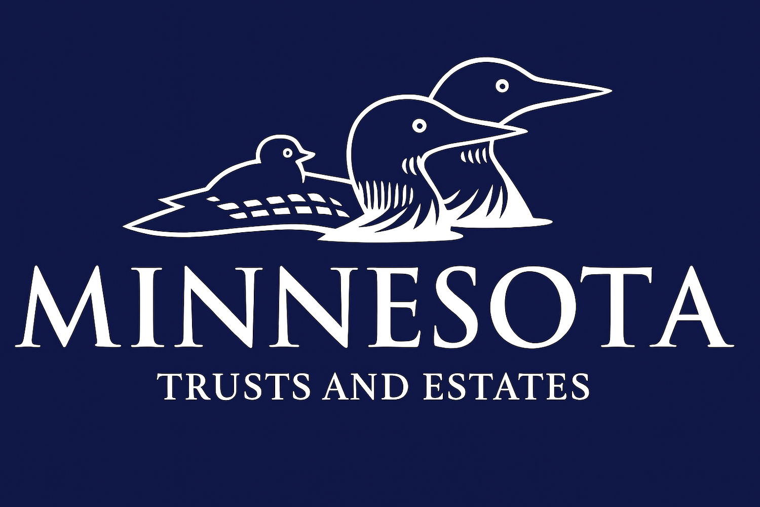 Minnesota Trusts and Estates LLC