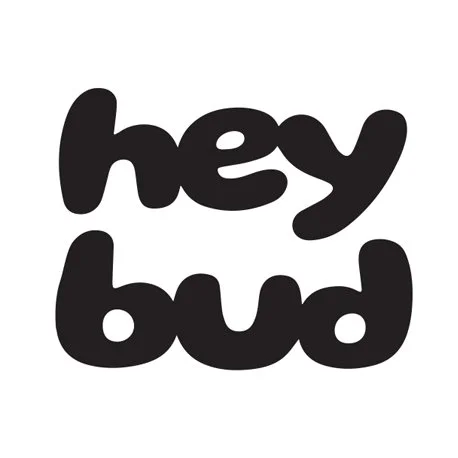 Heybud