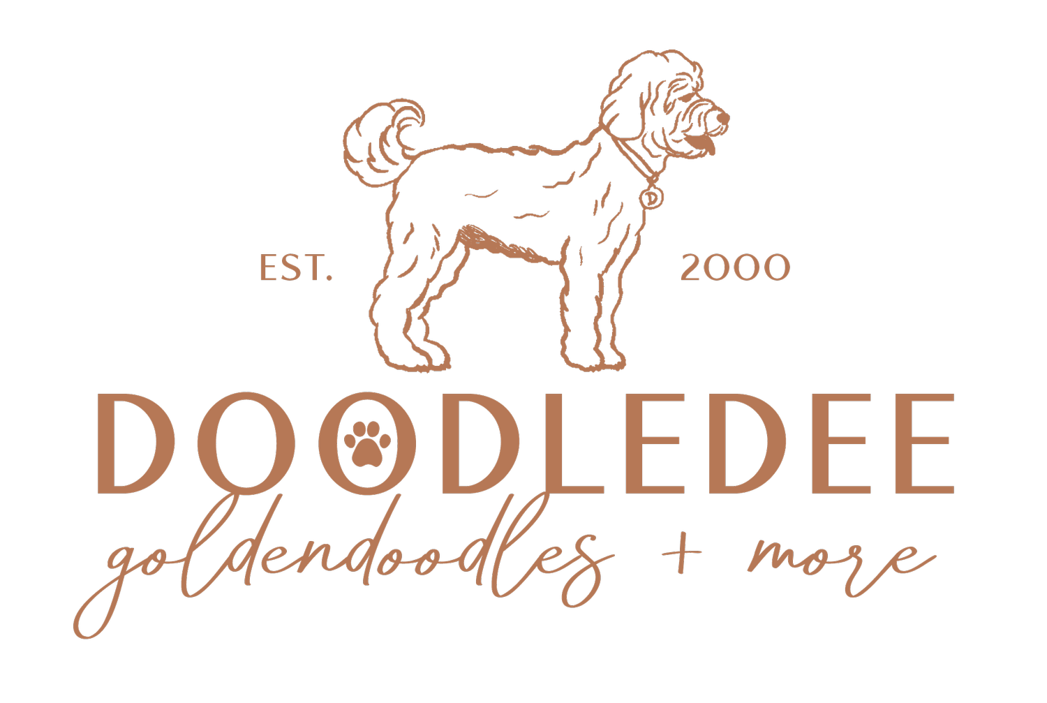 DoodleDee Goldendoodles &amp; More