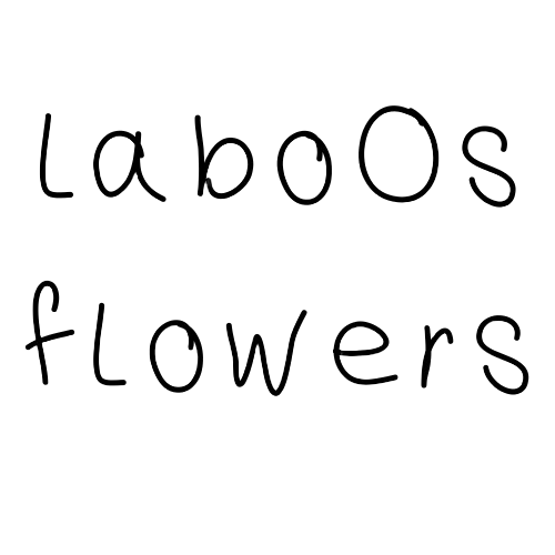 laboos flowers