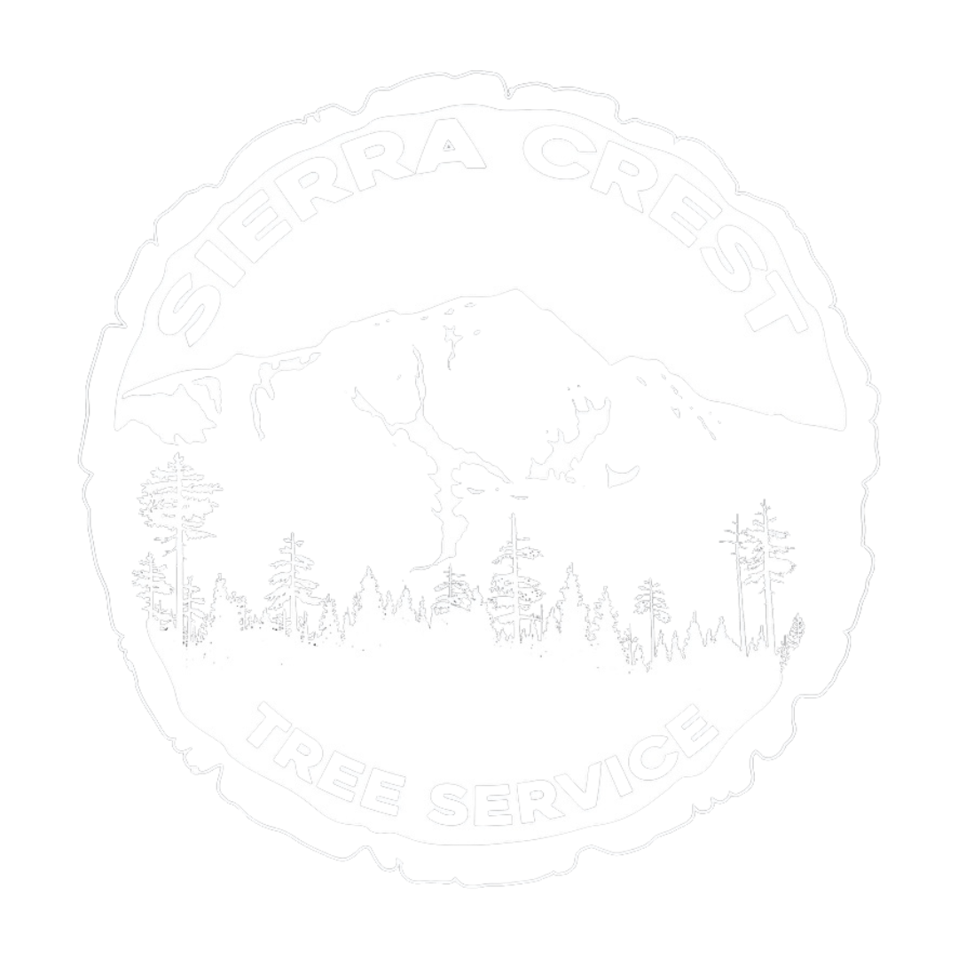 Sierra Crest Tree Service | Tree Removal South Lake Tahoe