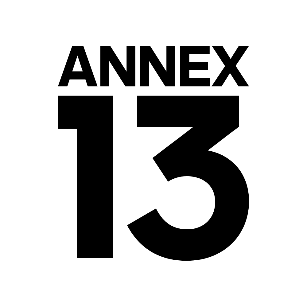 ANNEX 13