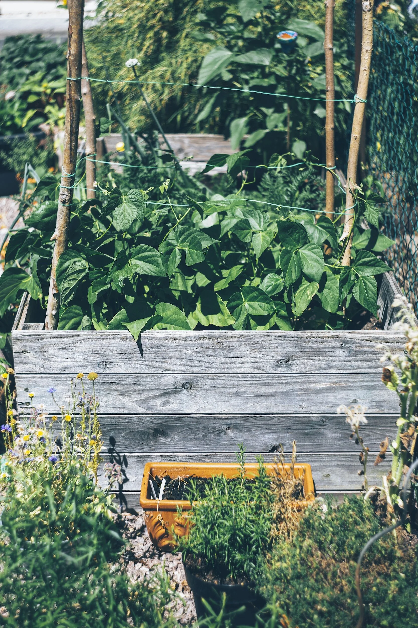 Are Raised Garden Beds Right For You?