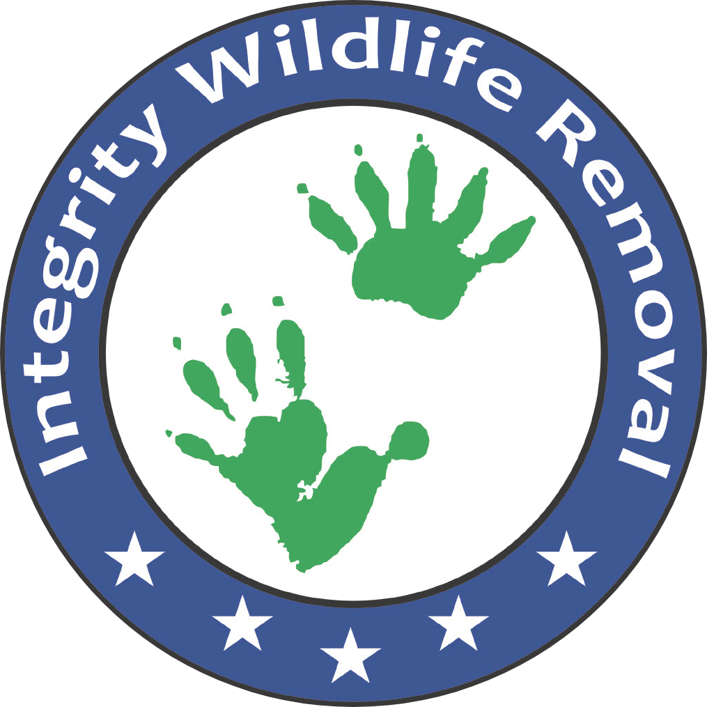 Integrity Wildlife Removal LLC