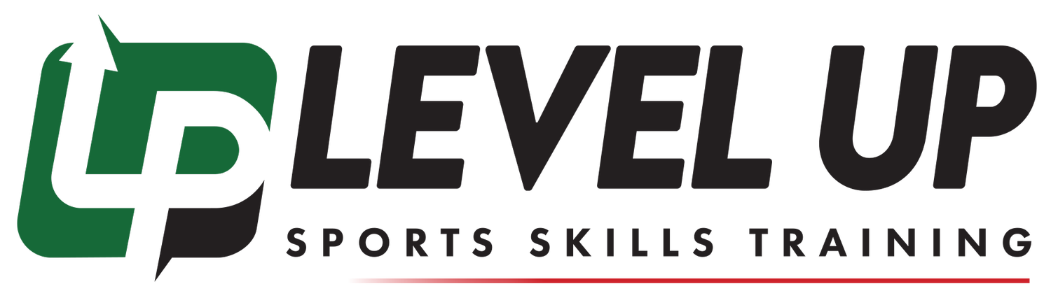 Level Up Sports Skills Training