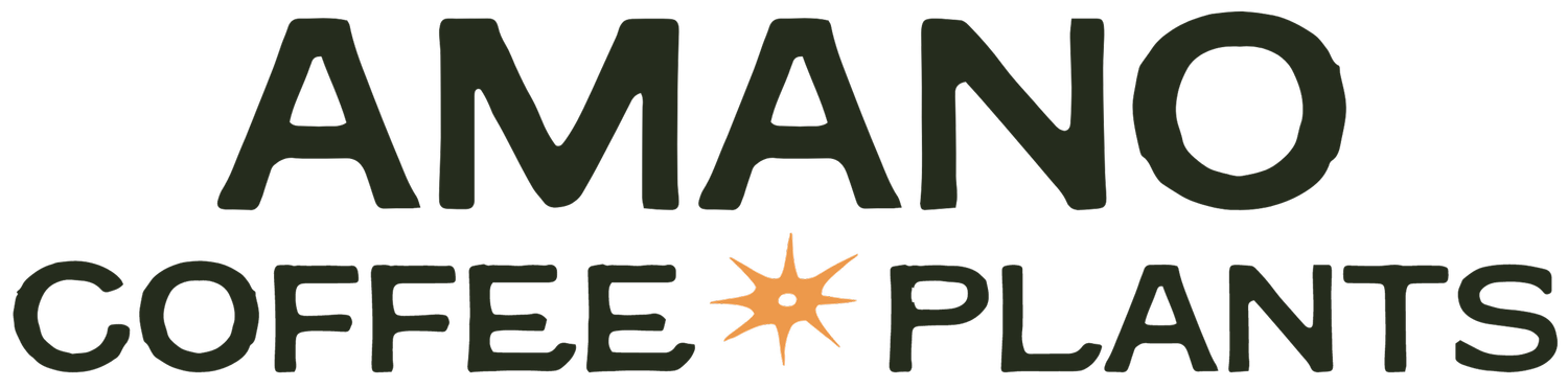 Amano Coffee & Plants