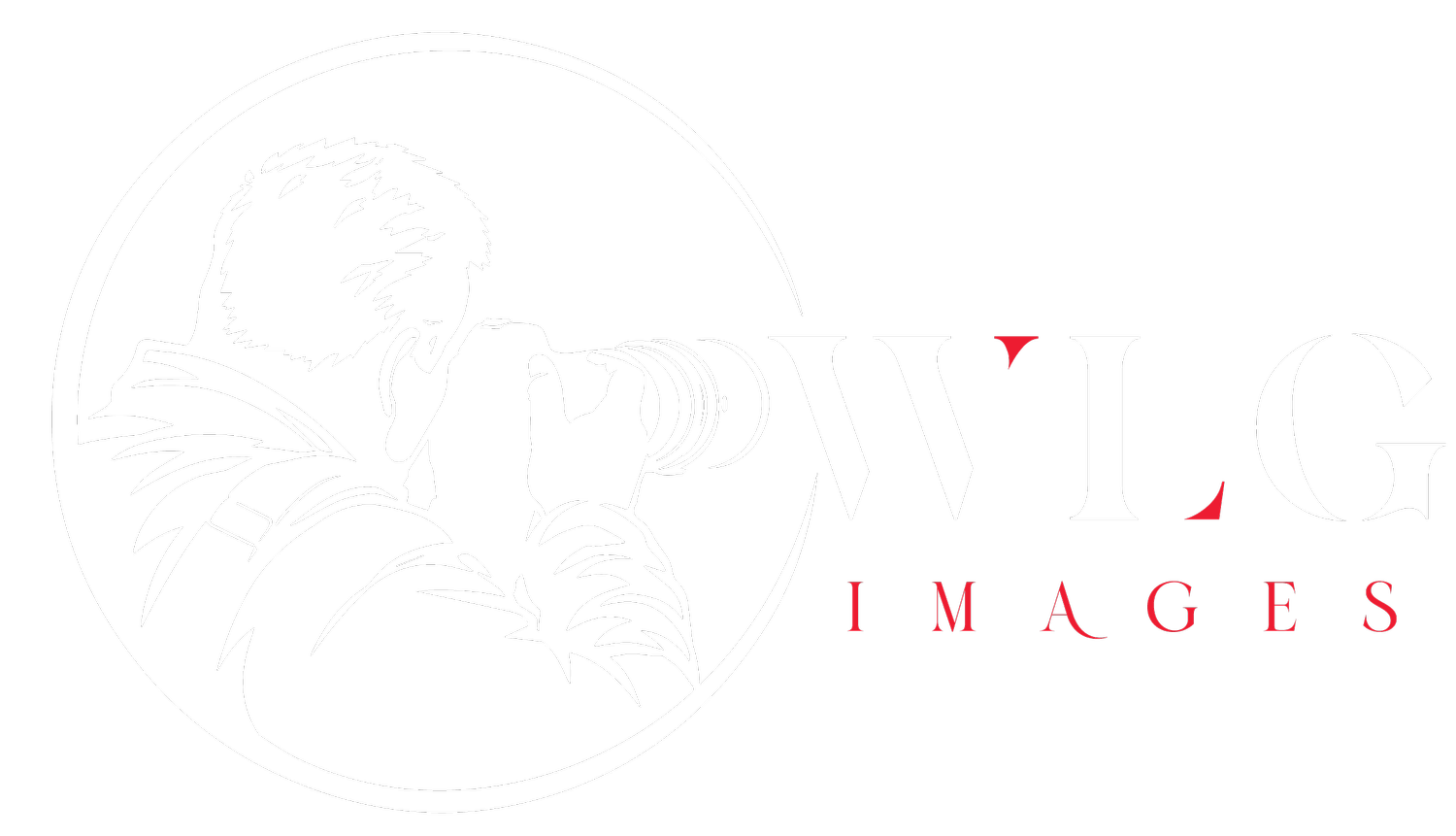 wildlightgallery