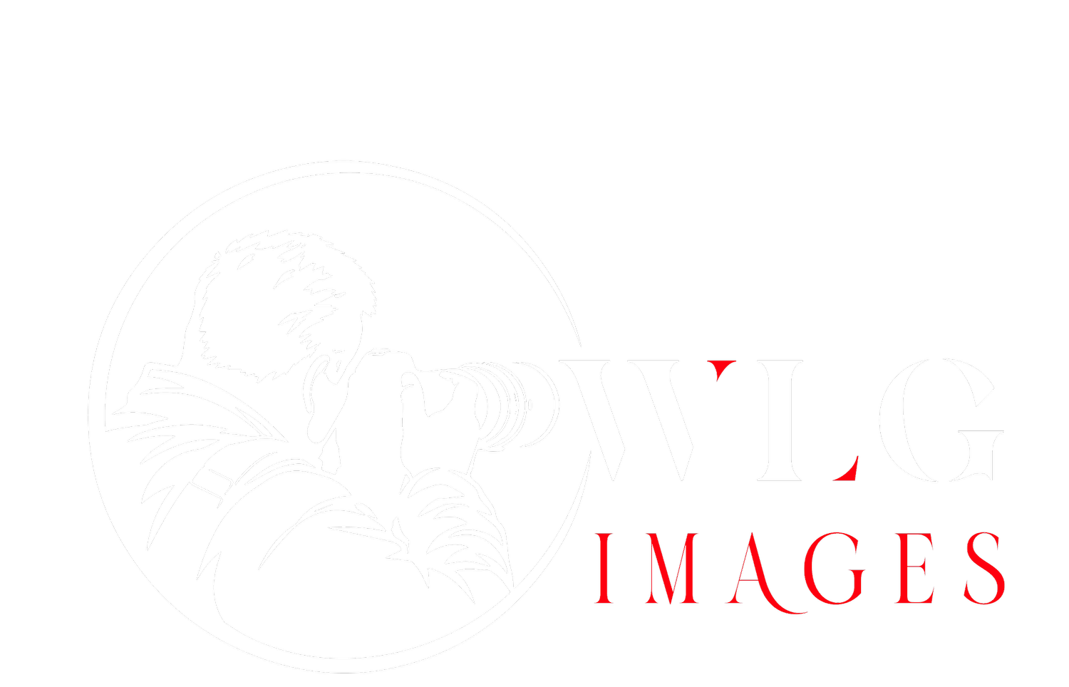 wildlightgallery