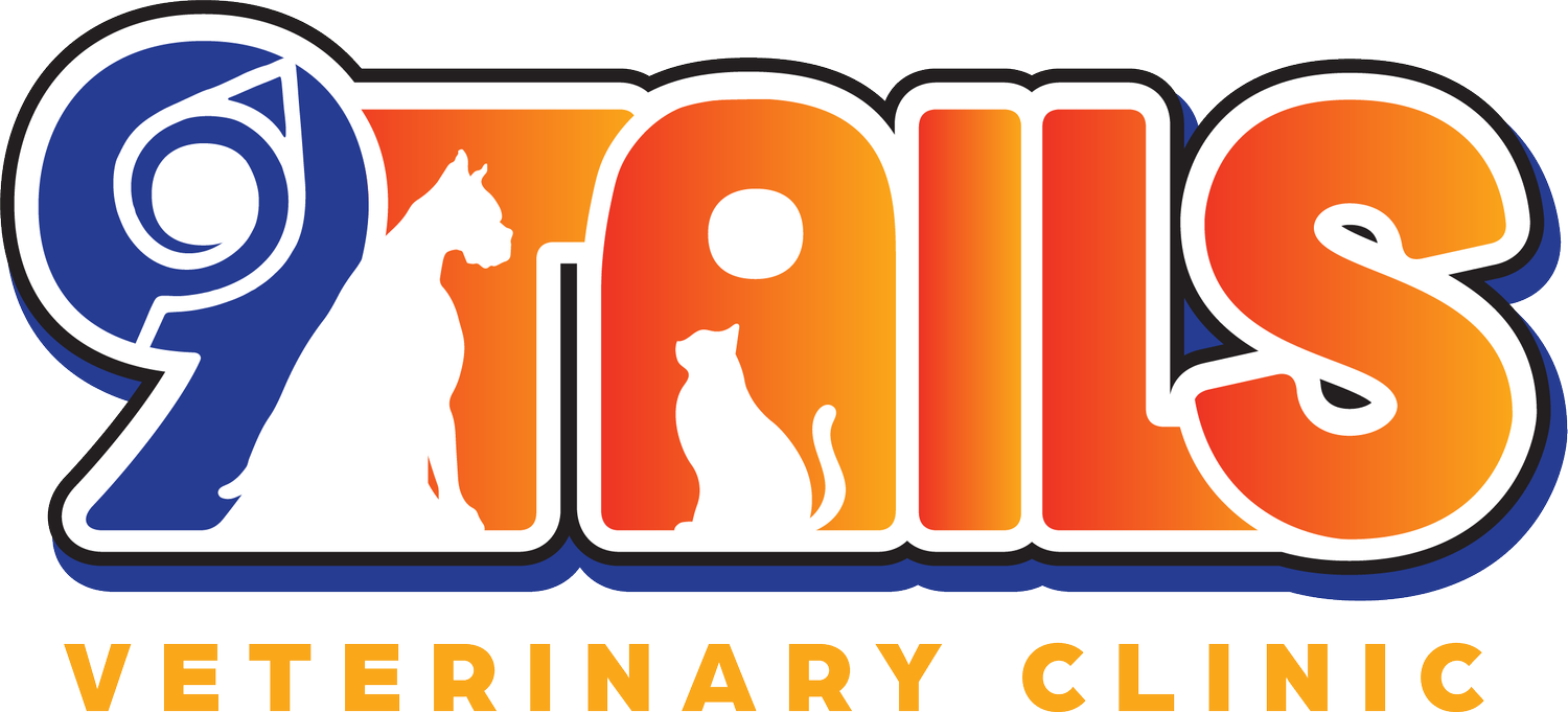 9 Tails Veterinary Clinic