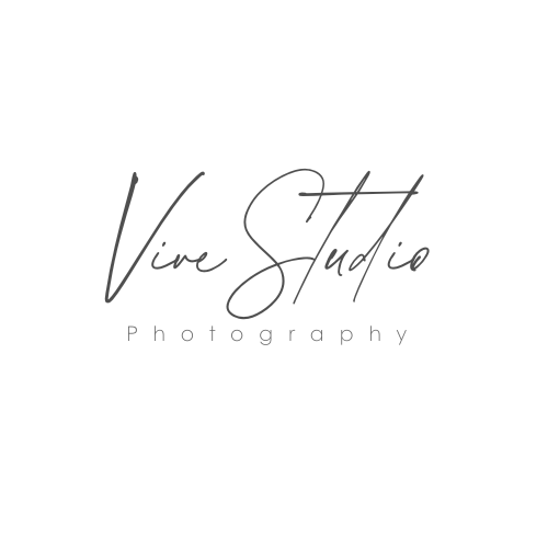 Vive Studio