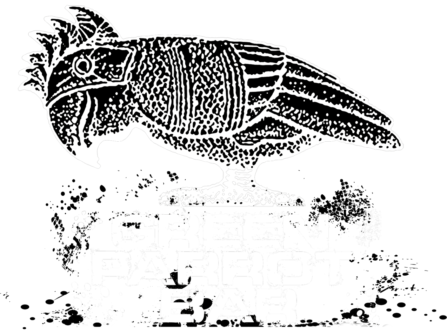 Green Parrot | A Sunny Place for Shady People | Key West Bar &amp; Music Venue