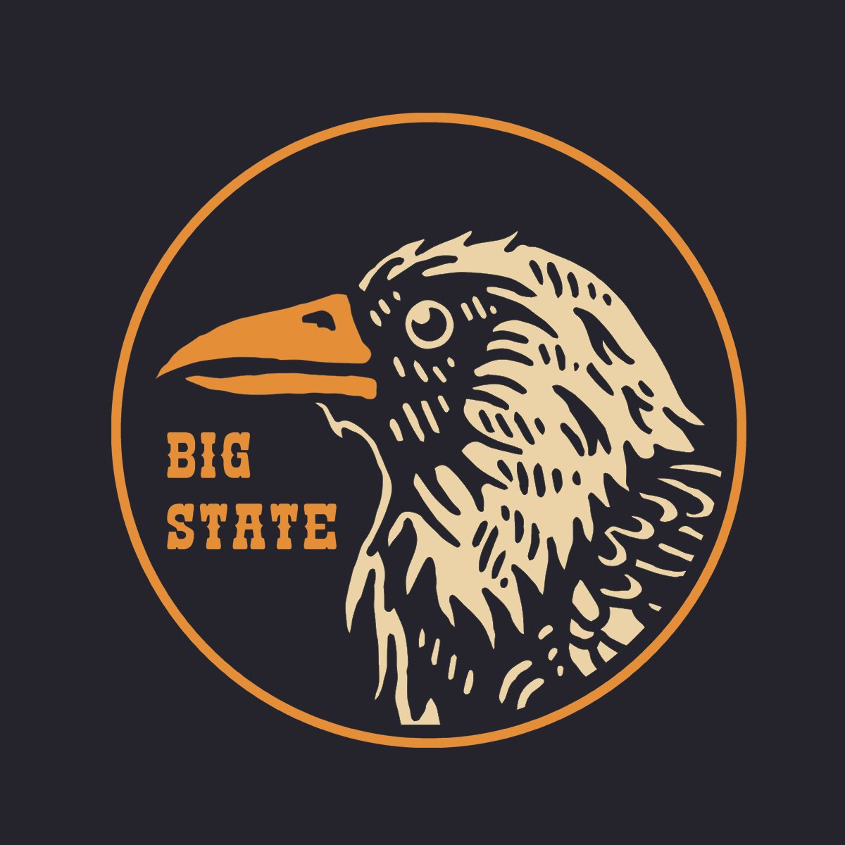 The Big State Of Texas LLC