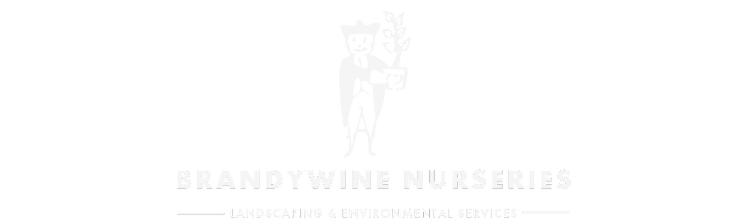 Brandywine Nurseries | Delaware Landscaping &amp; Environmental Services