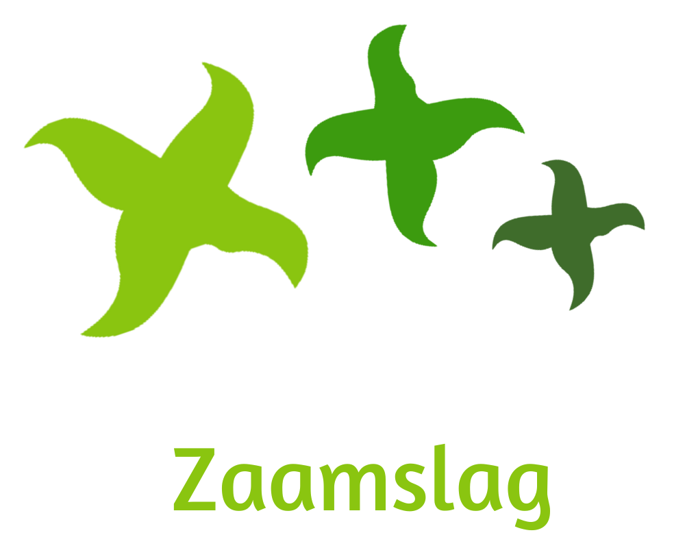 Dorpsfeest Zaamslag