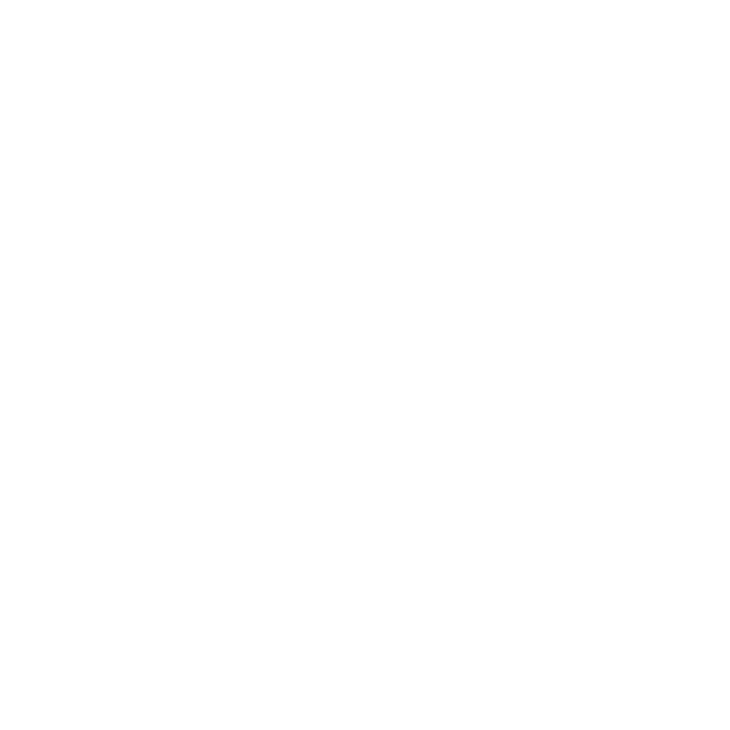 GO EXECUTIVE 
